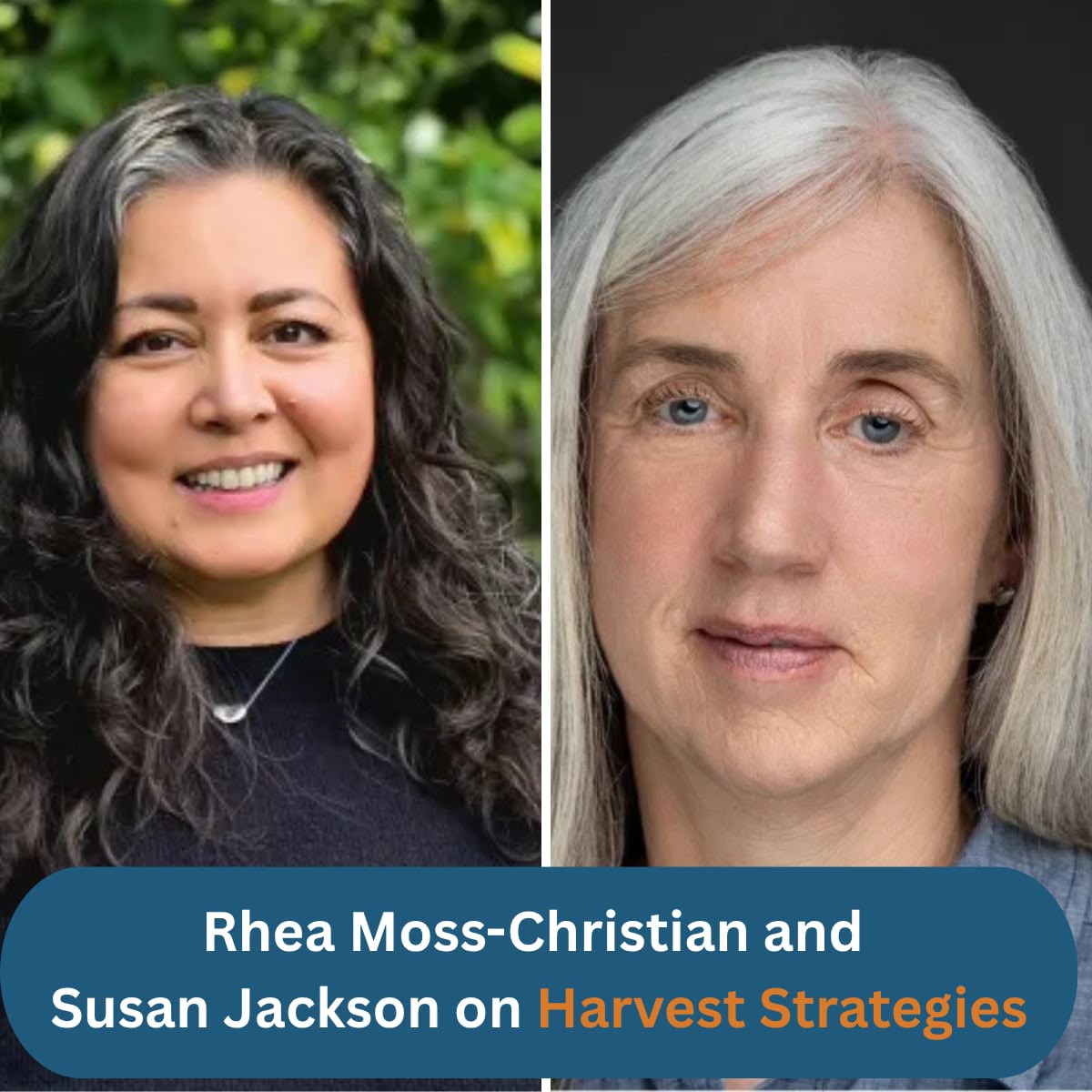 WCPFC and ISSF on Harvest Strategies