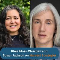 WCPFC and ISSF on Harvest Strategies