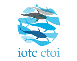 IOTC Logo