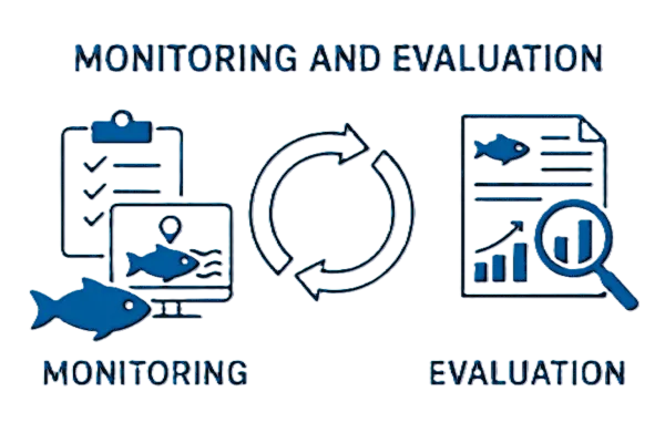 feedback loop of monitoring and evaluation
